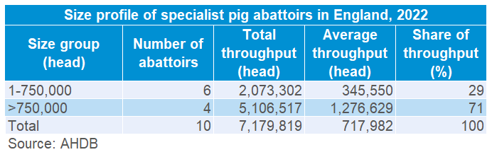Specialist English Pigs Abattoirs Table 2022 size profile